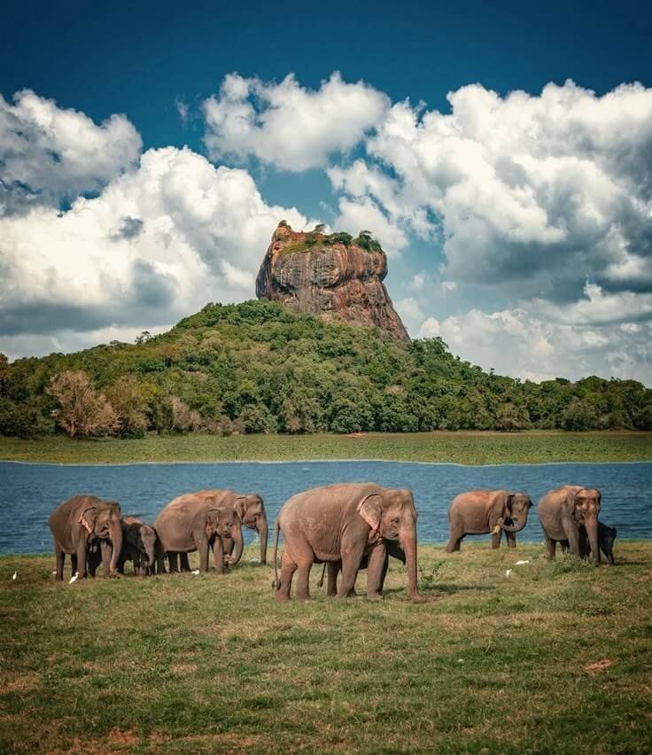 sri lanka sigiriya, kandy, yala