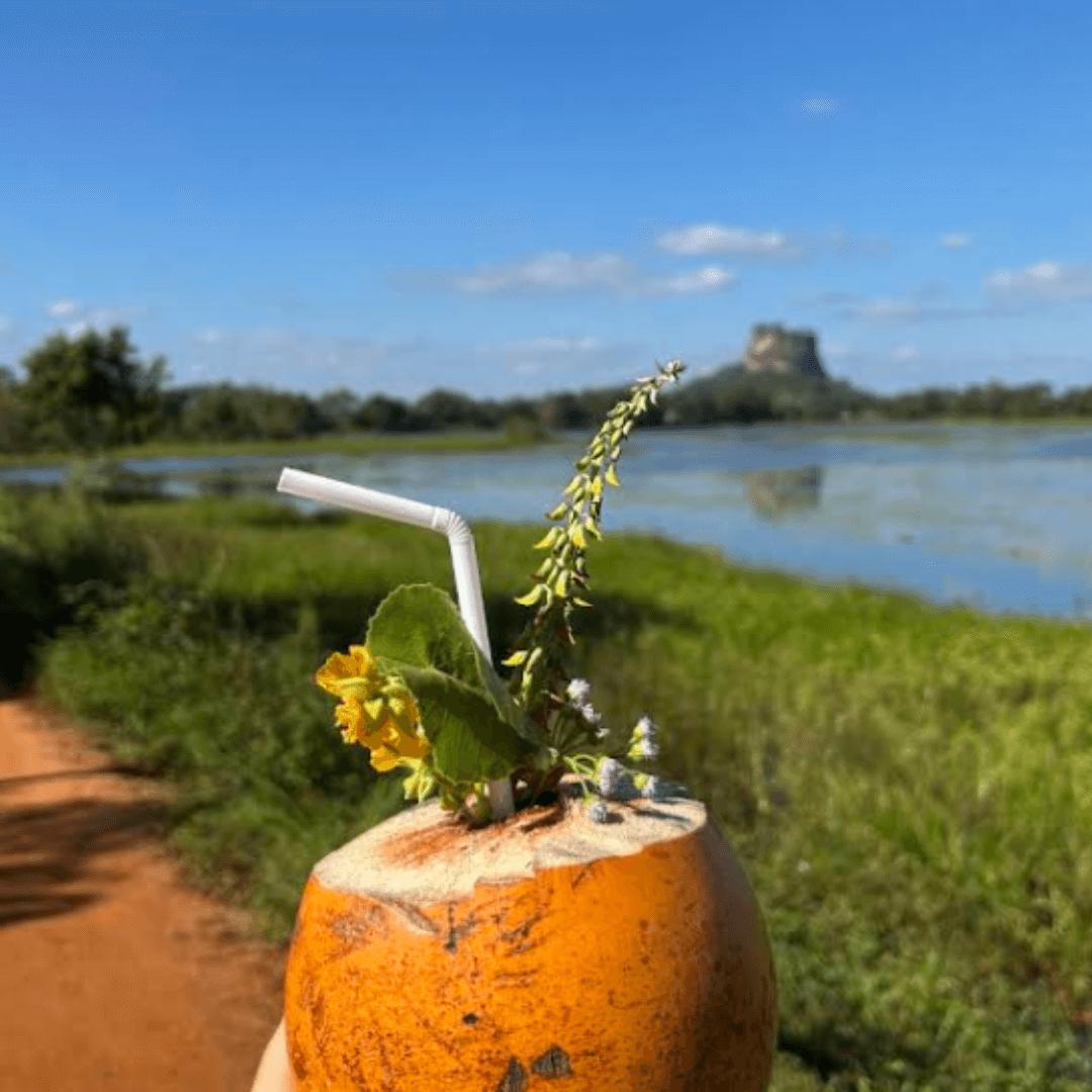 dónde comer en sri lanka king coconut