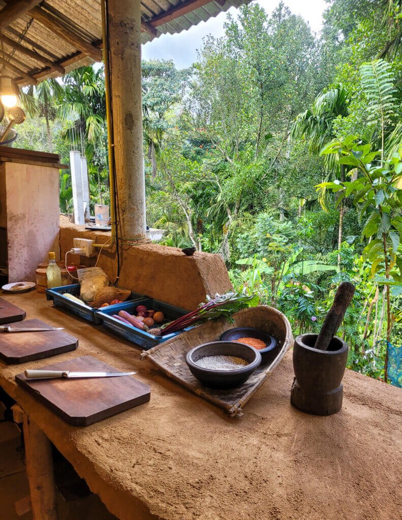 cooking class, food, asian, cuisine, dish, meal, vegetables, curry, dinner, lunch, delicious, sri lankan, traditional, closeup, curry, curry, curry, curry, curry, sri lankan, sri lankan