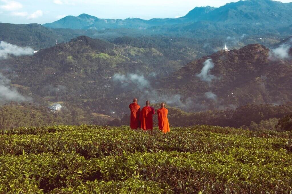 monks, buddhist, buddhism, religion, culture, worship, red, tradition, sight, view, scene, stupa, pagoda, sri lanka, mahamevnawa, ella, bandarawela, kumbalwela, sri lanka, sri lanka, sri lanka, sri lanka, sri lanka, ella, ella
