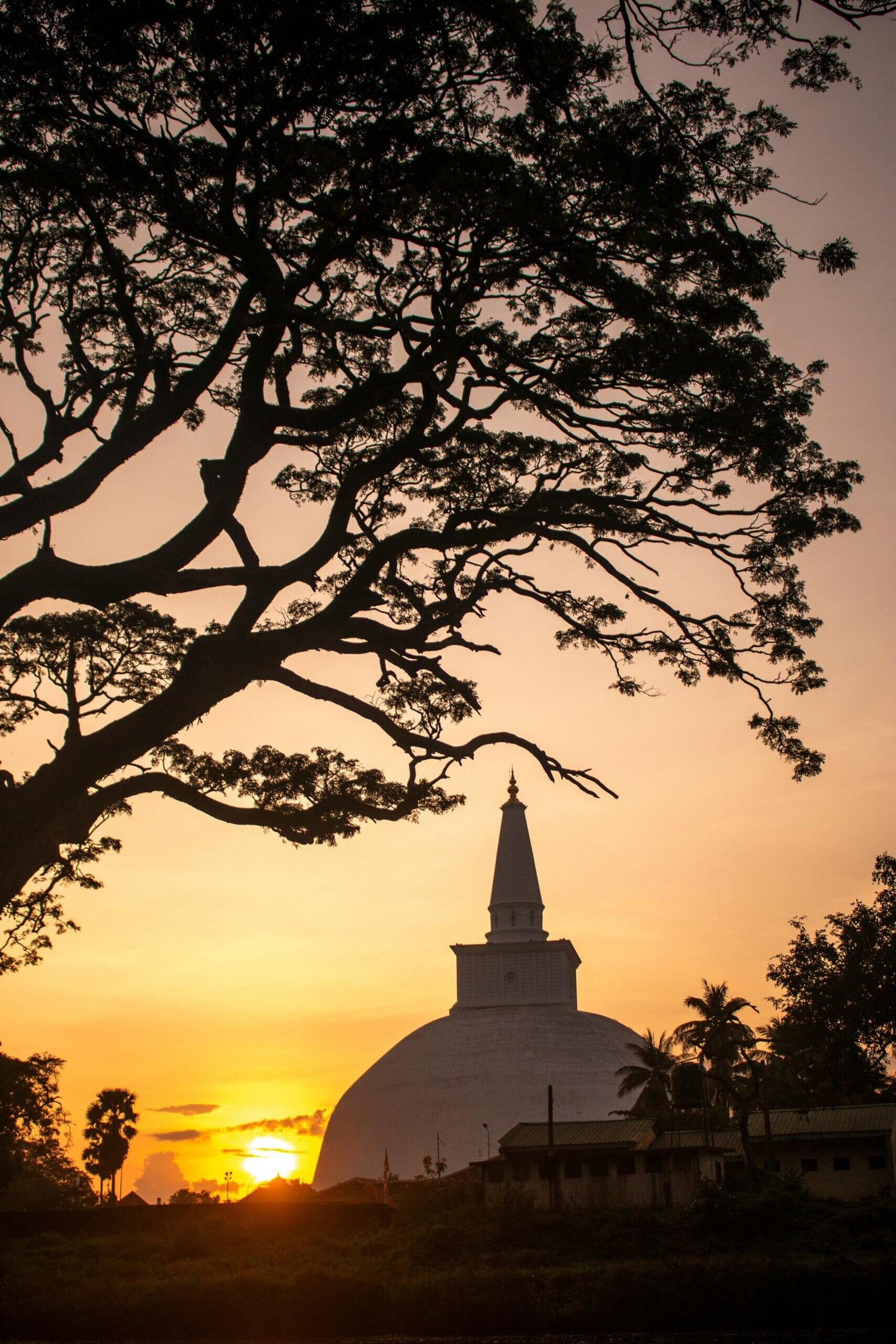 Captivating view of Ruwanweli Maha Seya at sunset with silhouetted tree branches framing the stupa.